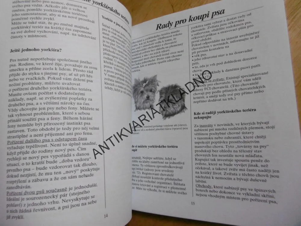 YORKŠÍRSKÝ TERIÉR, JAK NA TO, PES, VÝCHOVA, PÉČE,**an