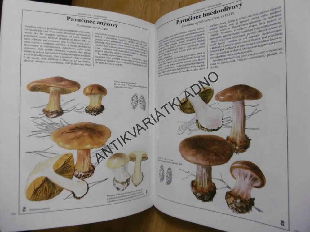 HOUBY, SVRČEK, VANČURA, **an