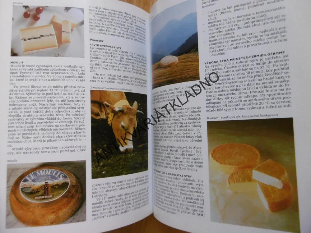 ENCYKLOPEDIE SÝRŮ, CHRISTIAN CALLEC, **an