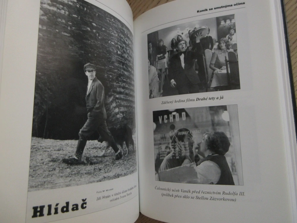 KOMIK SE SMUTNÝMA OČIMA - TAJEMSTVÍ ŽIVOTA A NEVYJASNĚNÉ SMRTI JIŘÍHO HRZÁNA, HANA RYCHETNÍKOVÁ, **an