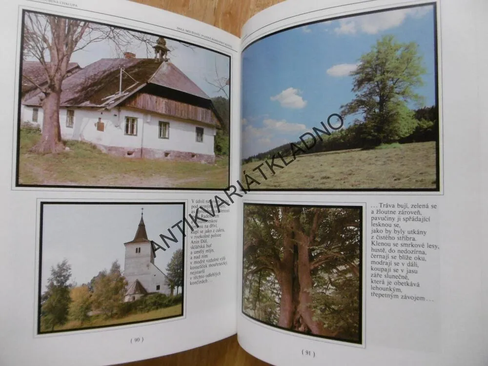 KLOSTERMANNOVA ŠUMAVA, SLÁVA VANEŠ, **an
