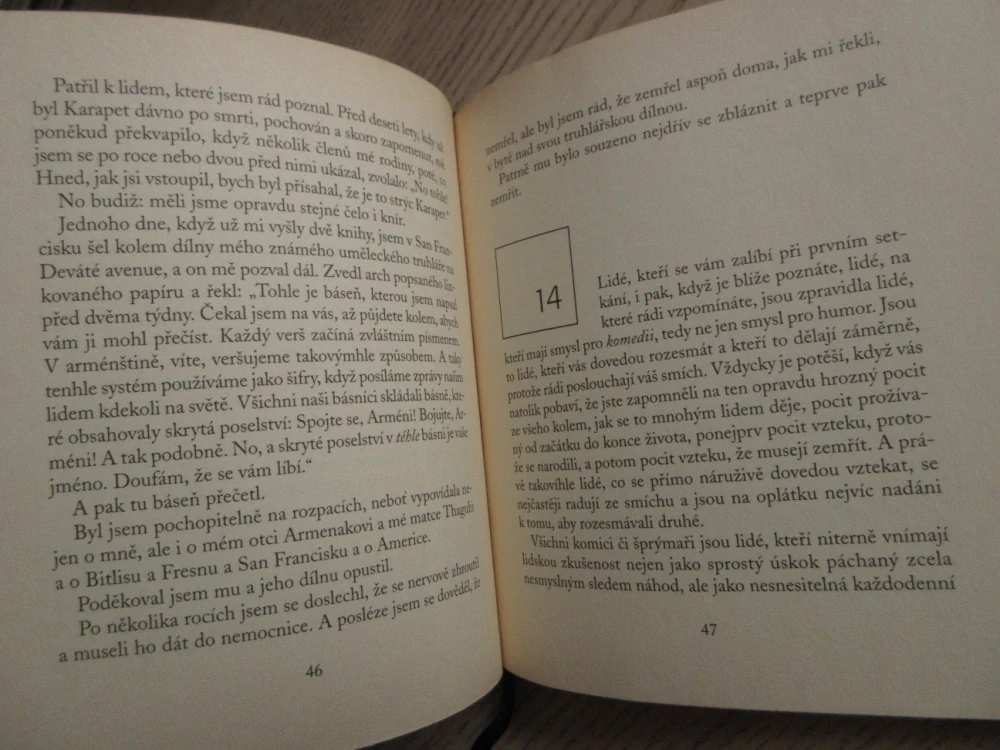 NÁHODNÁ SETKÁNÍ, WILLIAM SAROYAN, **an