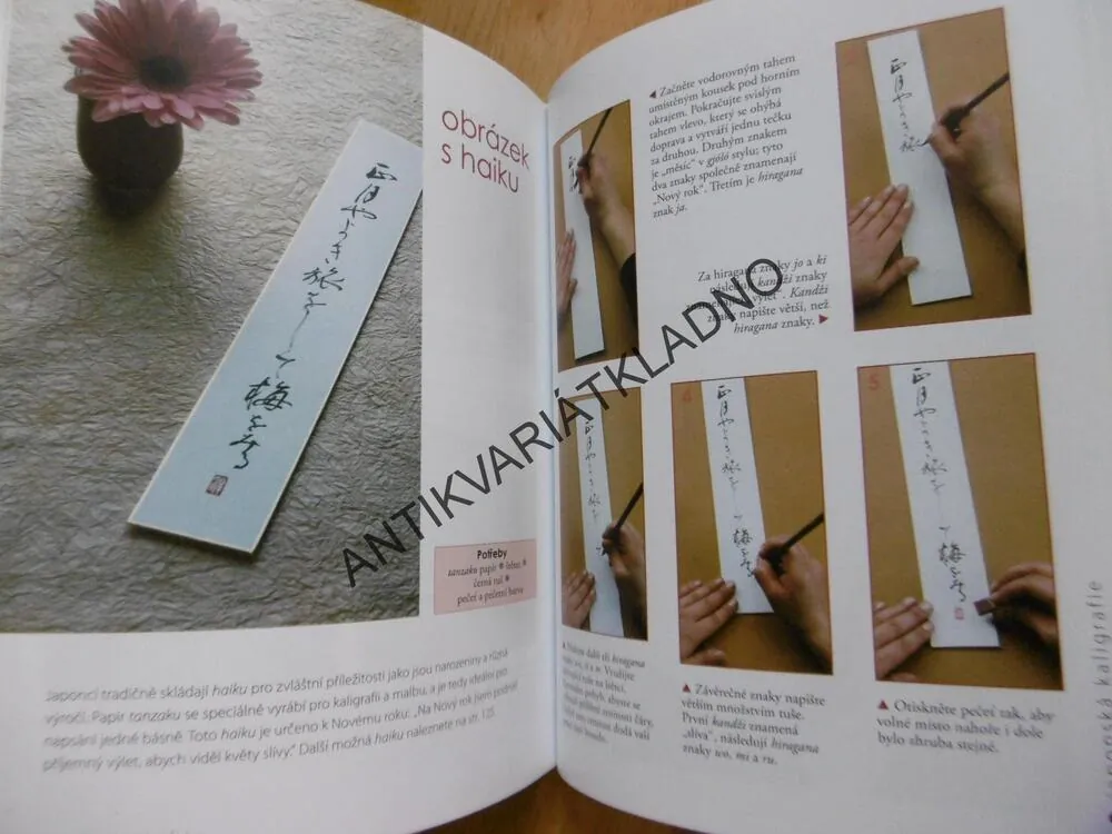 JAPONSKÁ KALIGRAFIE, JOKO TAKENAMI