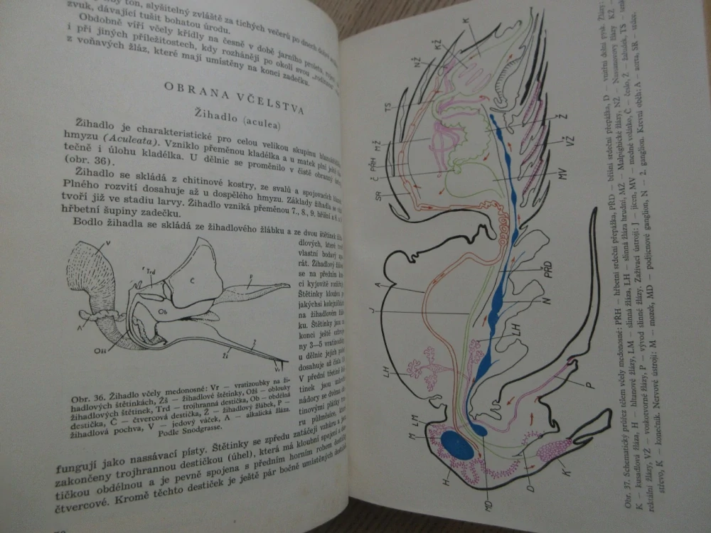 VČELAŘSTVÍ, B. TOMŠÍK, E. LISÝ, J. SVOBODA, J. HEJTMÁNEK, **an