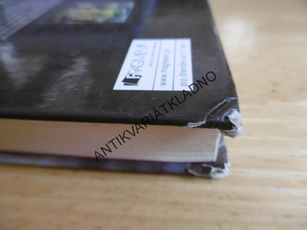 ELYONOVA ZEMĚ,2., TRNITÉ ÚDOLÍ, PATRICK CARMAN, **an