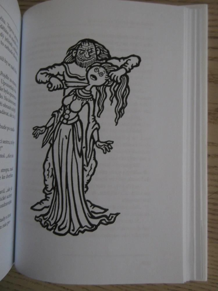 NEMRAVNÁ DÍVKA NA VDÁVÁNÍ, MILOSLAV ŠVANDRLÍK, **an