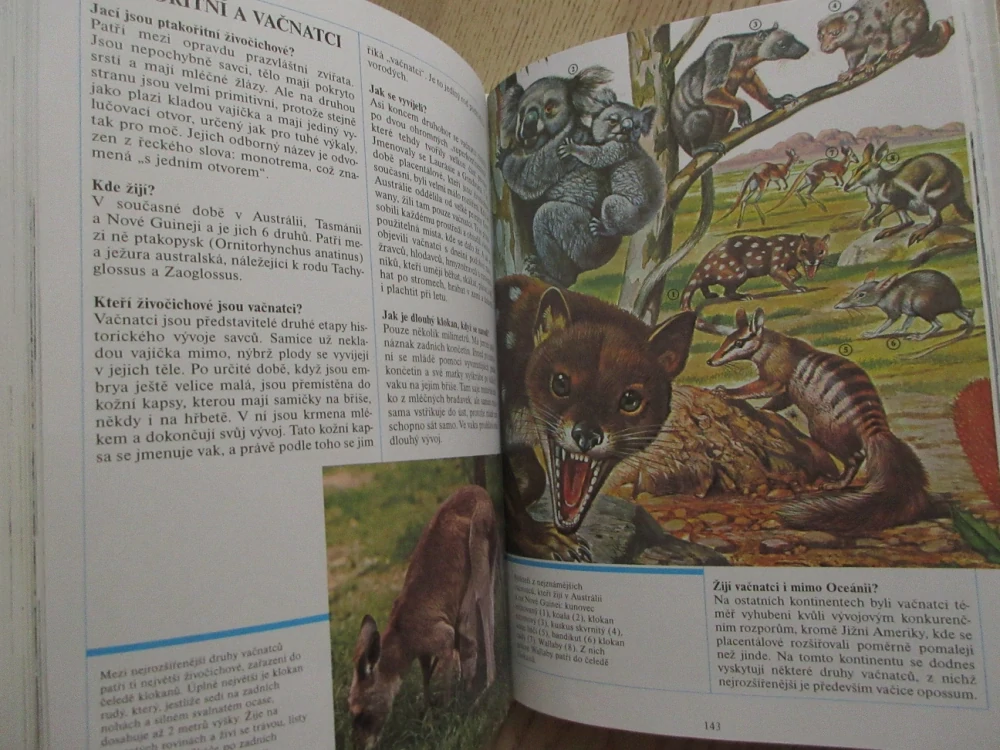 1000 OTÁZEK ZE ŽIVOTA ZVÍŘAT, **an