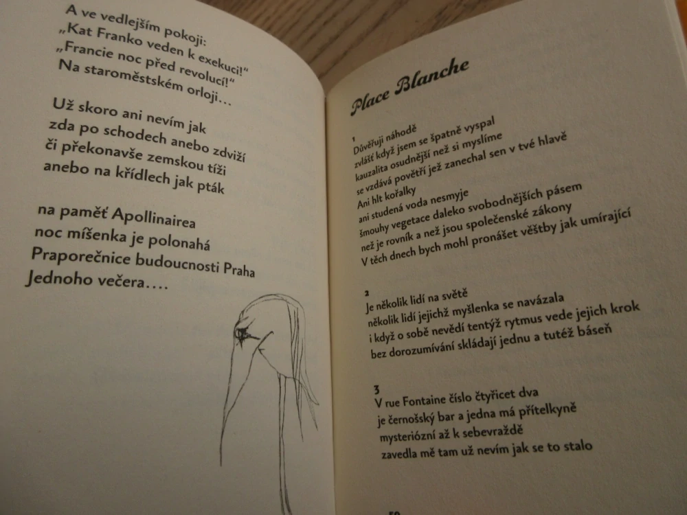 MŮJ TUČŇÁK: DIVNÉ BÁSNĚ, VÍTĚZSLAV NEZVAL, **an