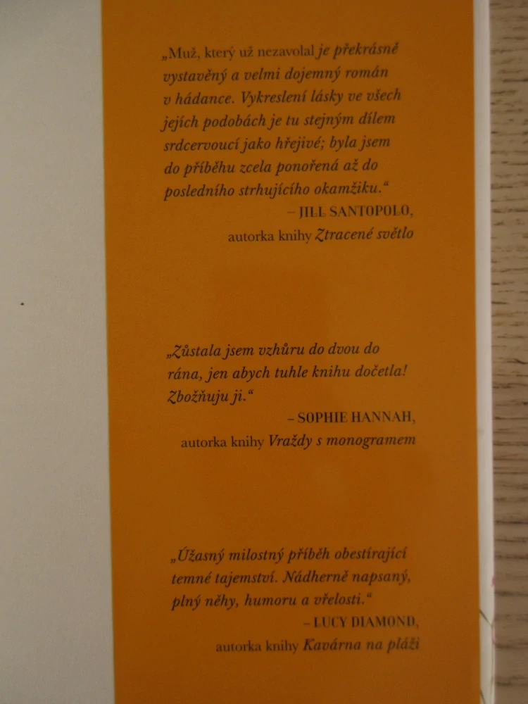 MUŽ, KTERÝ UŽ NEZAVOLAL, ROSIE WALSH, **an