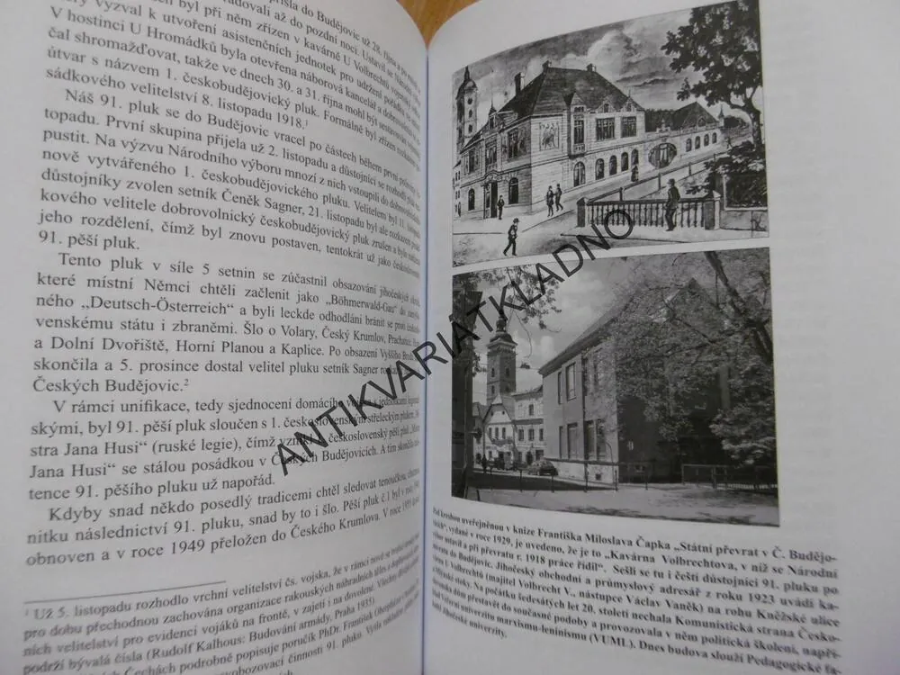 ŠVEJK, FIKCE A FAKTA, MILAN HODÍK, PAVEL LANDA, **an
