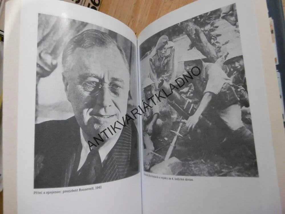 CHURCHILL A JEHO GENERÁLOVÉ, BARRIE PITT, **an