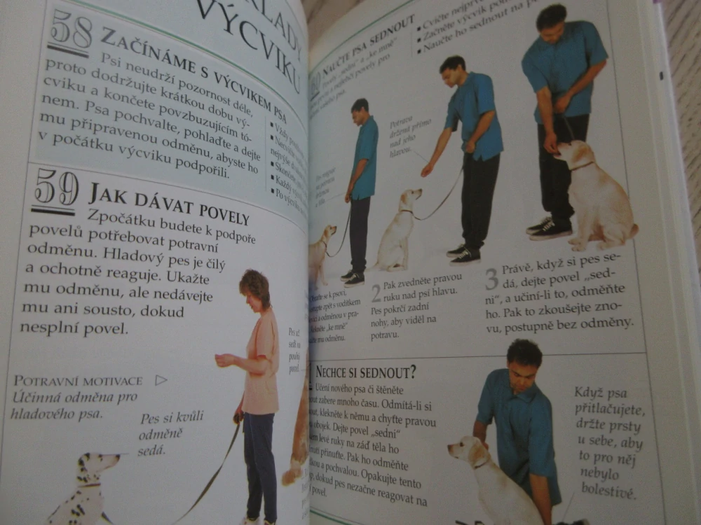 101 PRAKTICKÝCH RAD JAK PEČOVAT O PSA, BRUCE FOGLE, **an
