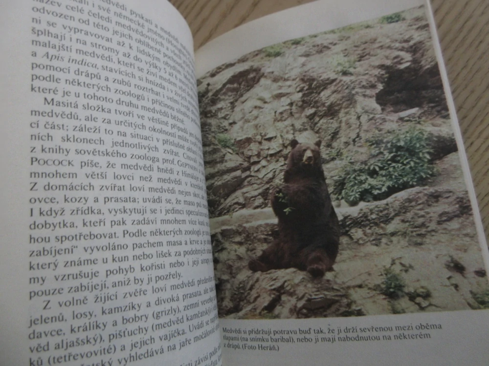 ZVÍŘATA CELÉHO SVĚTA 4, MEDVĚDI A PANDY, IVAN HERÁŇ, **an 