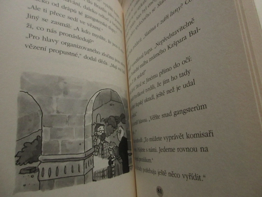 UKRADENÝ OBRAZ, GERIT KOPIETZOVÁ, JÖRG SOMMER, **an
