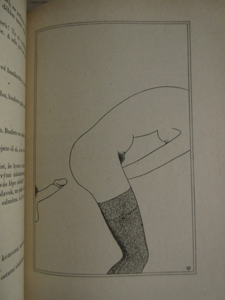 PŘÍBĚHY PAŘÍŽSKÉ KOKOTY, ASI GUY DE MAUPASSANT, **an