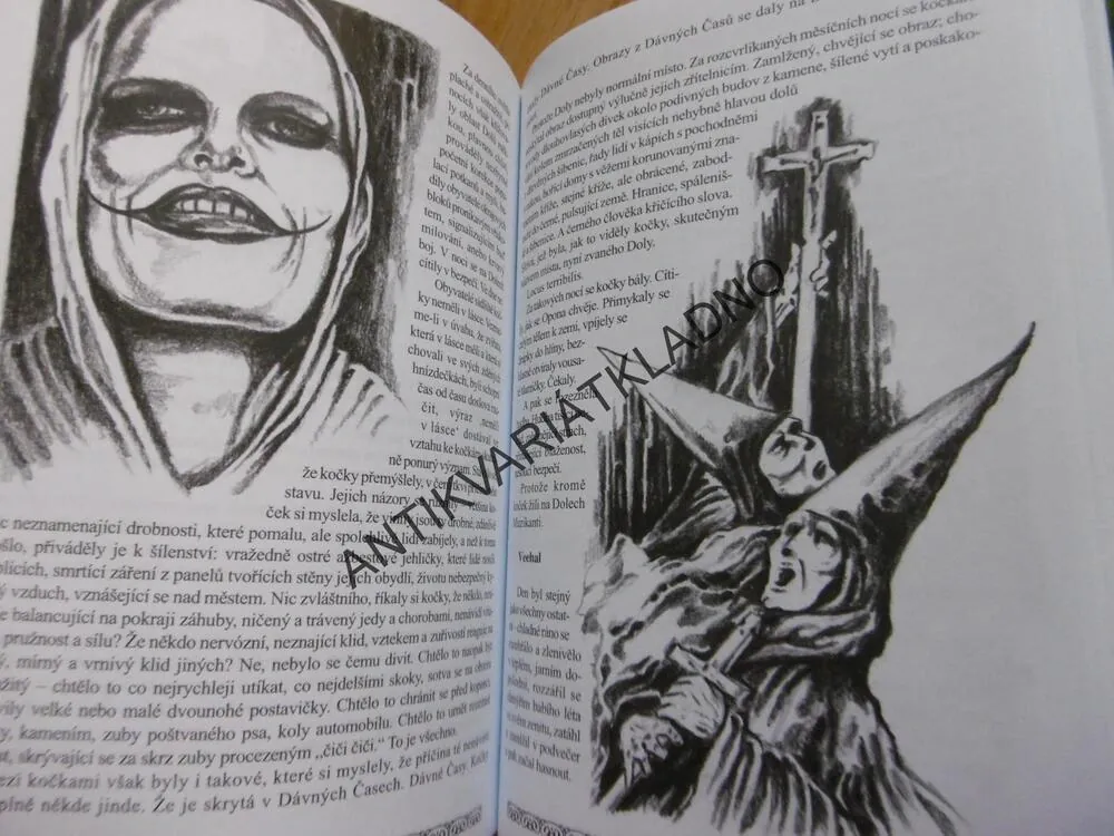 MAGICKÉ STŘÍPKY, ANDRZEJ SAPKOWSKI