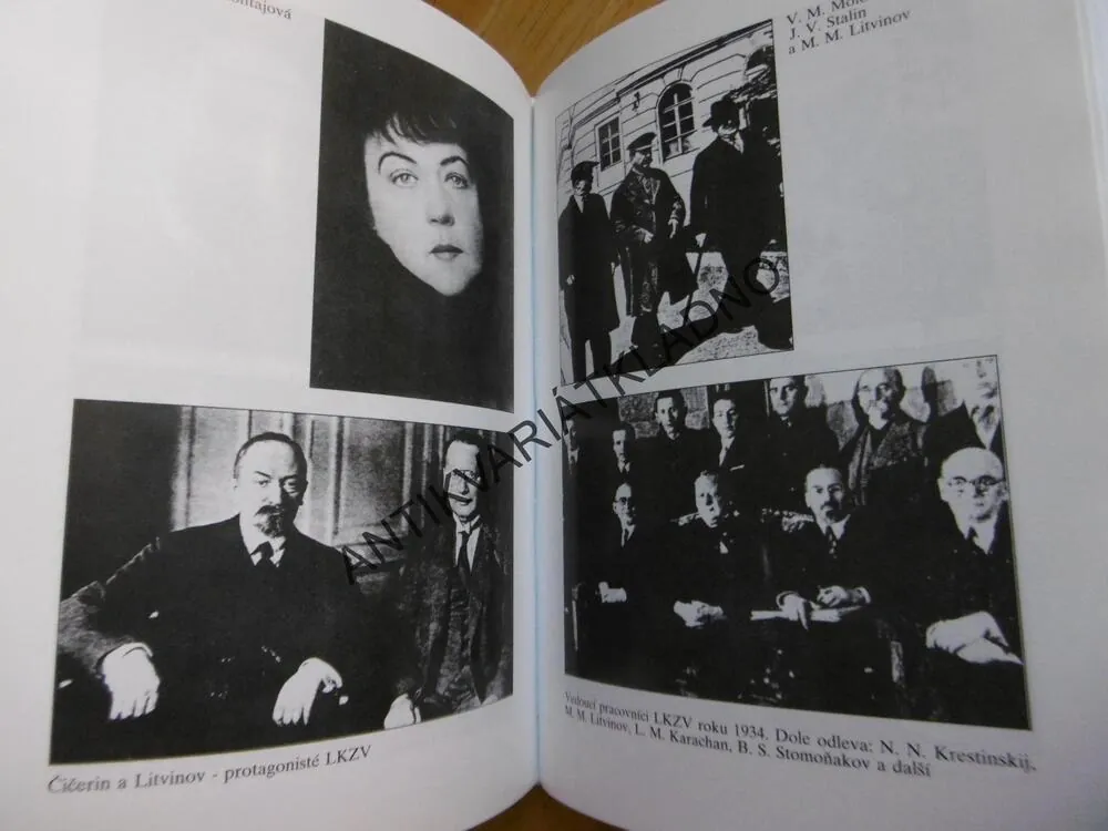 STALINOVI DIPLOMATÉ V EVROPĚ, 1930-1939, SABINE DULLINOVÁ