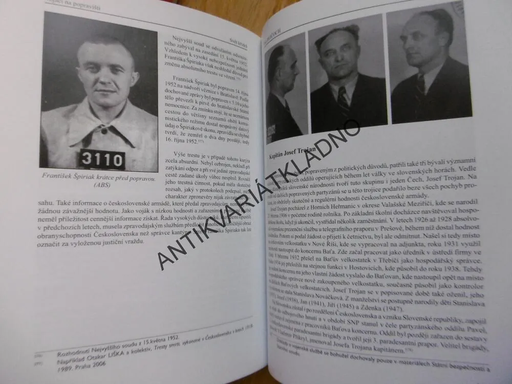 VOJÁCI NA POPRAVIŠTI, IVO PEJČOCH, 