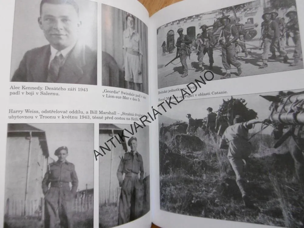 MARINE COMMANDO, RAYMOND MITCHELL