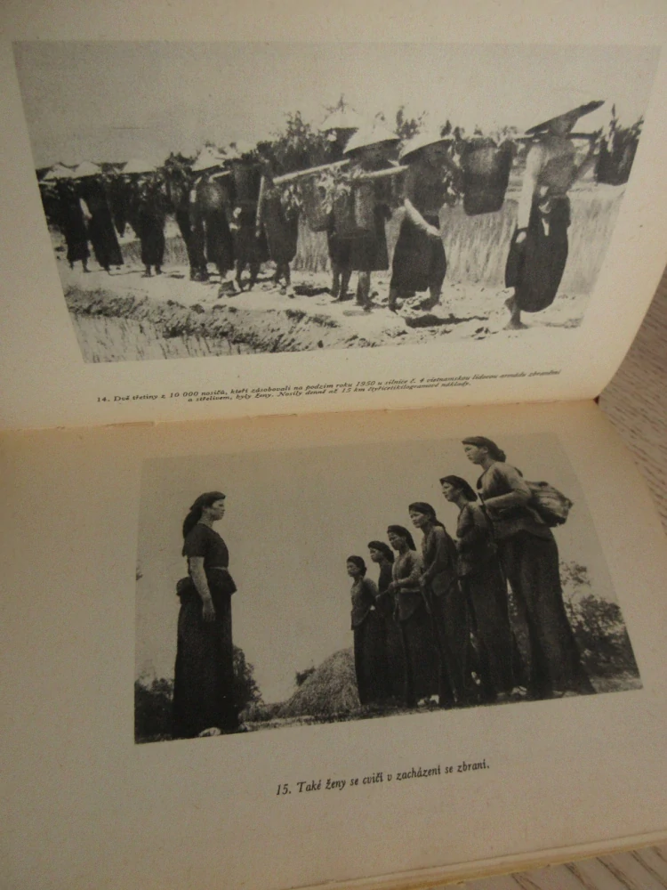 CIZINECKÁ LEGIE: REPORTÁŽ PODLE ZÁŽITKŮ A DOKUMENTŮ NAVRÁTILCŮ Z VIETNAMU, GÜNTER HALLE, **an