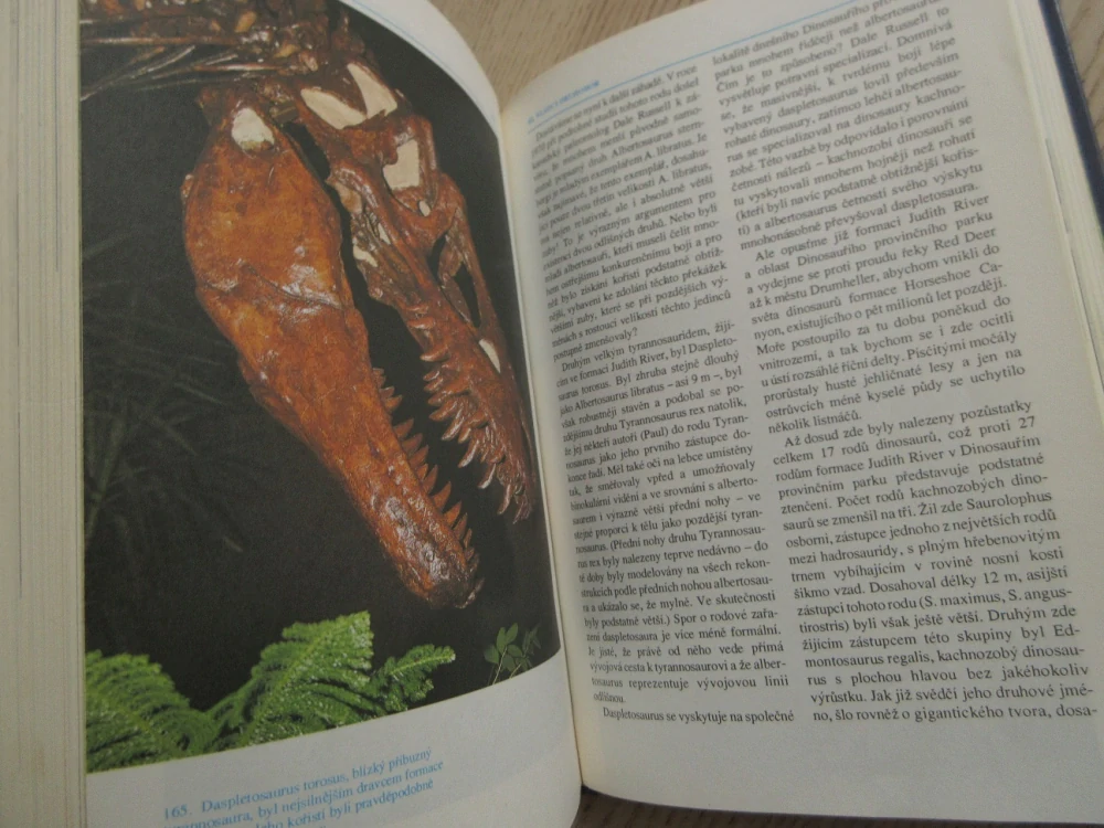 ZÁHADA DINOSAURŮ, JAROSLAV MAREŠ, **an