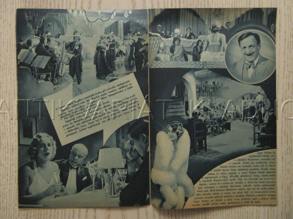 MANŽELSTVÍ S RUČENÍM OBMEZENÝM, CH. SUSA, H. MOSER, BIO PROGRAM ZŠ Č. 66, 1932