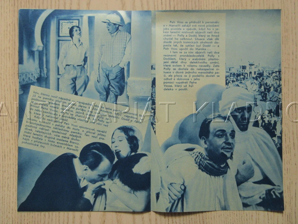 PETR VOSS ZLODĚJ MILIONŮ, W. FORST, O. WERNICKE, A. TREFFOVÁ, BIO PROGRAM ZŠ Č. 76, 1932