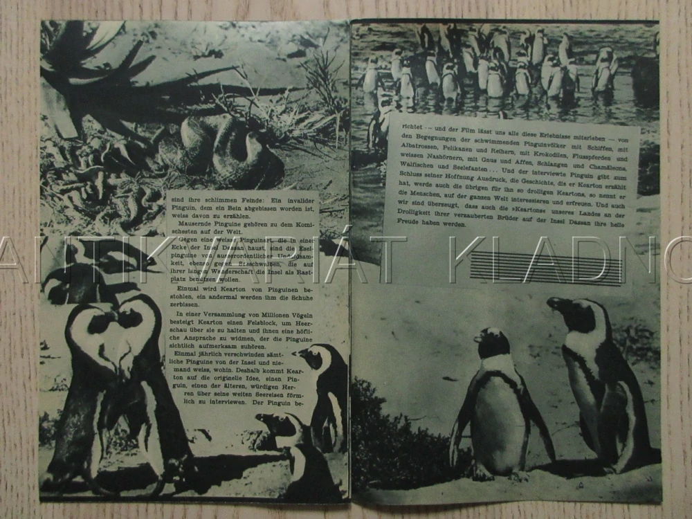 DASAN, OSTROV 5 MILIONŮ TUČŇÁKŮ, CH. KEARTON, NĚMECKY, BIO PROGRAM ZŠ Č. 85, 1932
