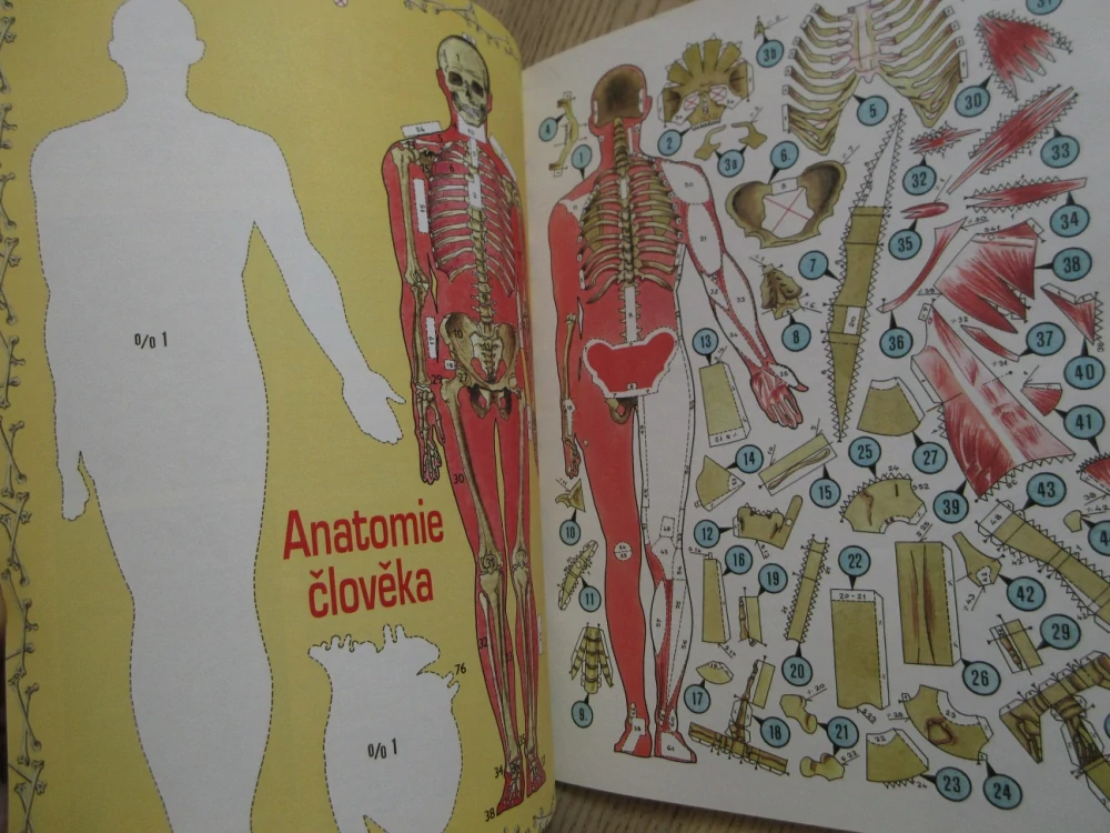 ABC, 19/2000, KOMPLETNÍ DÉČKA, ANATOMIE ČLOVĚKA