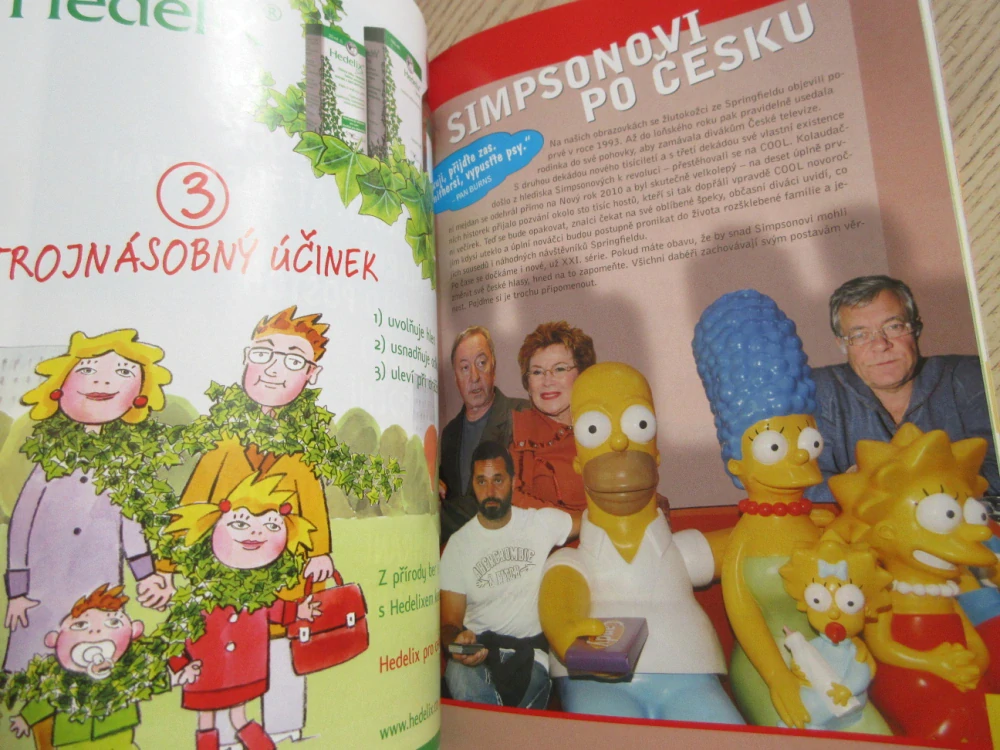 SIMPSONOVI, ZE ŽIVOTA NEJŽLUTĚJŠÍ RODINY SVĚTA, **an