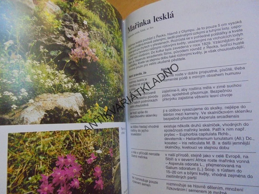OPRAVNÍK ZAHRÁDKÁŘSKÝCH OMYLŮ, SKALNIČKY