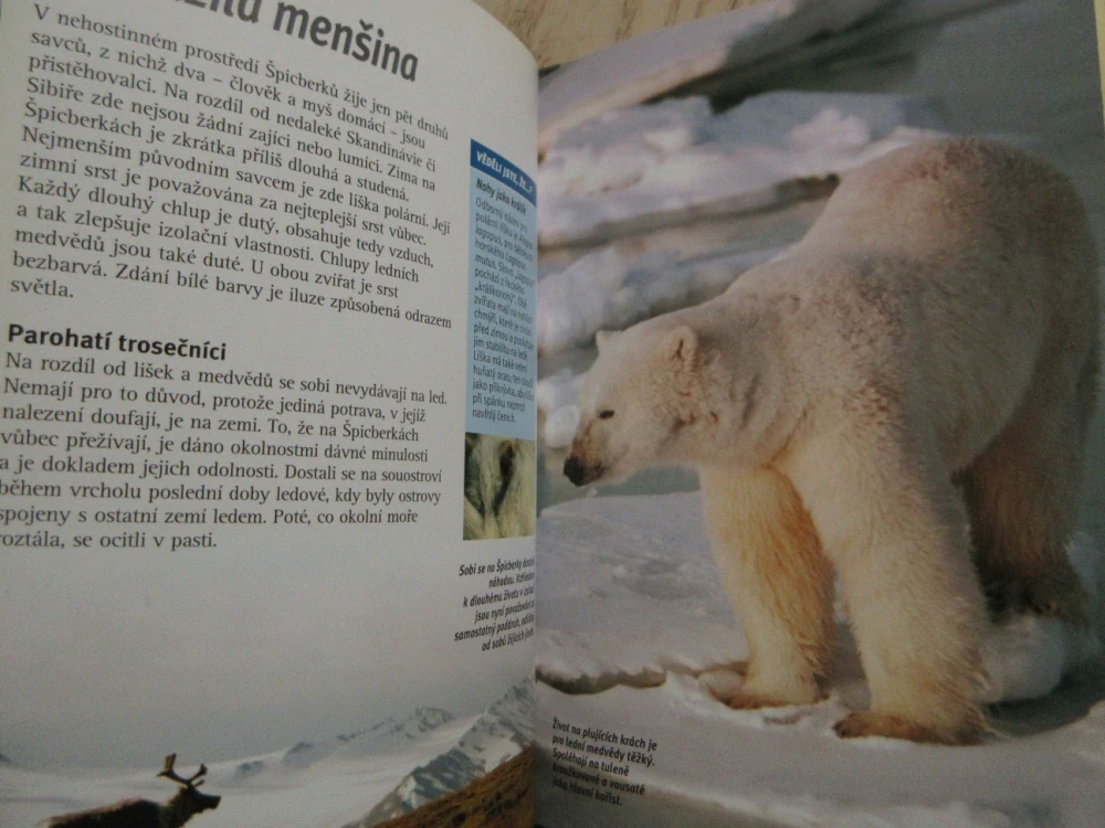 ARKTIDA, UMĚNÍ PŘEŽÍT, DVD FILM DOKUMENT