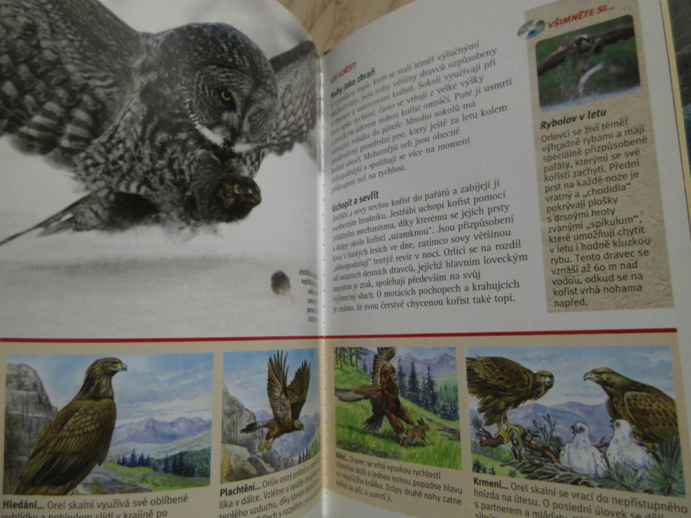 DRAVCI, KRÁLOVÉ NEBES, DVD FILM DOKUMENT
