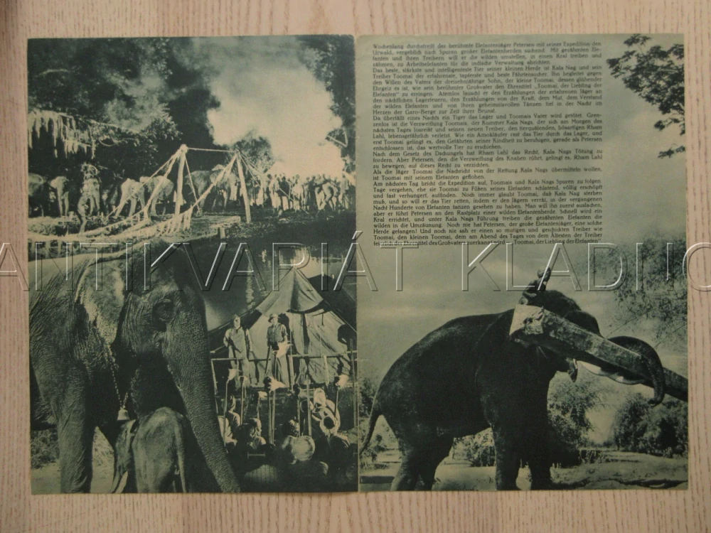 MILÁČEK SLONŮ, SABU, W. E. HOLLOWAY, B. GORDON, FILM VB, FILM KURIER VBŠ Č. 2641