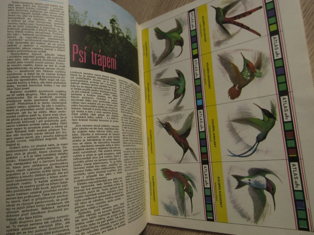 ABC, 5/1980, KOMPLETNÍ DÉČKA, ŽELEZNICE