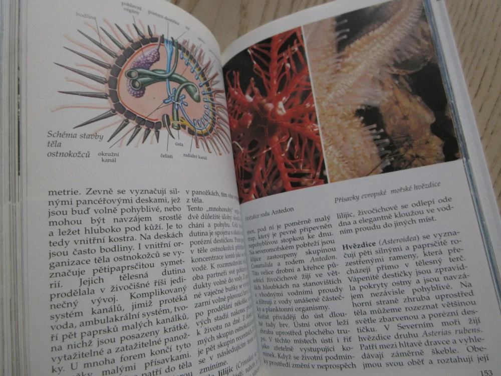 MOŘE A POBŘEŽÍ, PRŮVODCE PŘÍRODOU, JOSEF REICHHOLF, KLAUS JANKE, BRUNO P. KREMER, **an