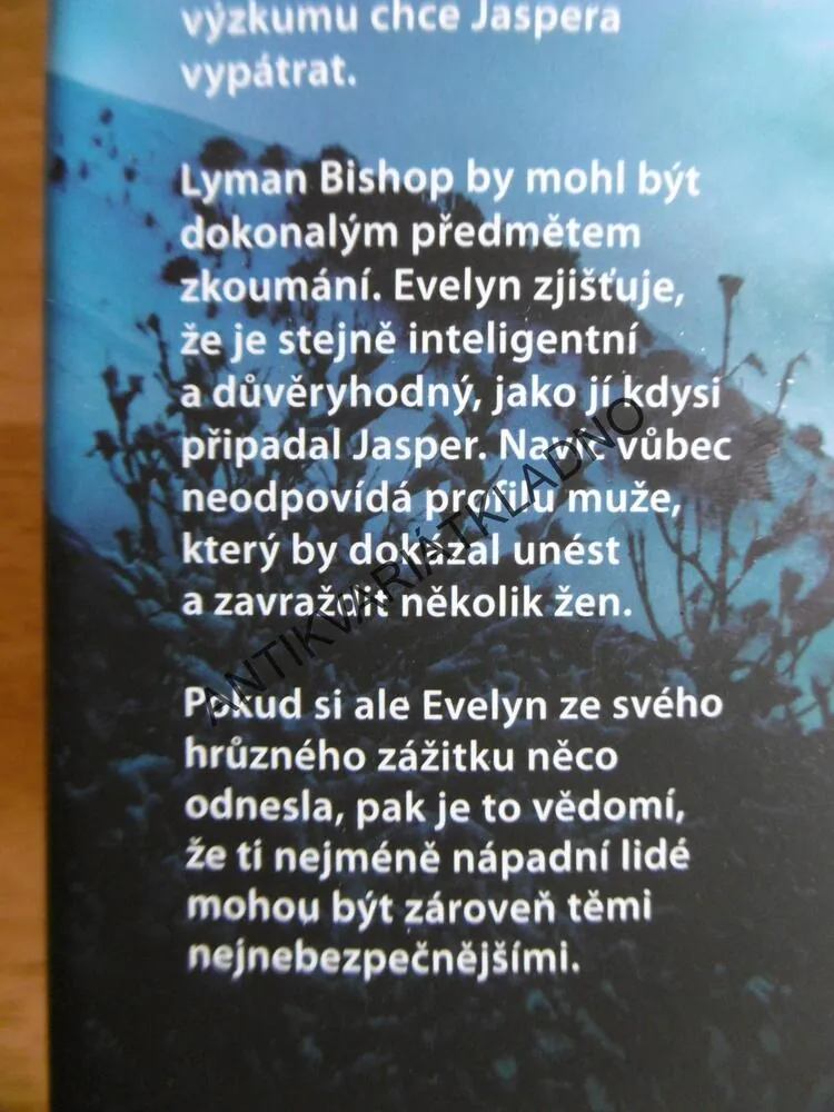 JSEM ZPĚT, BRENDA NOVAK