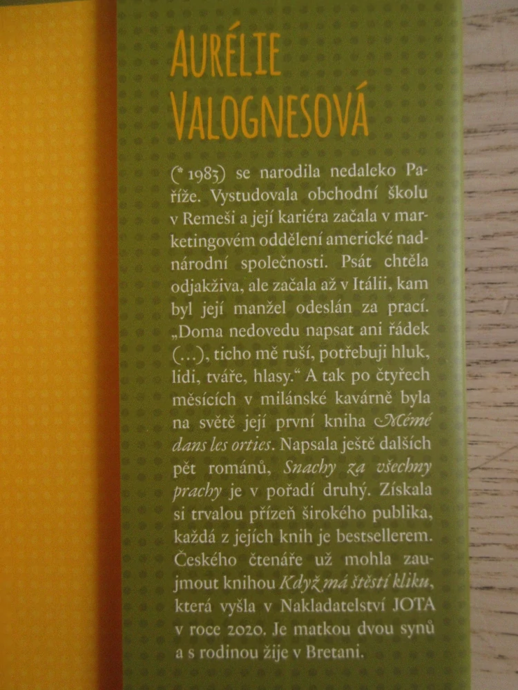 SNACHY ZA VŠECHNY PRACHY, AURÉLIE VALOGNESOVÁ, **an