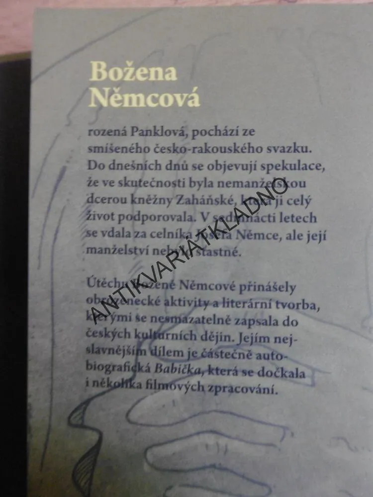 DIVÁ BÁRA A JINÉ PRÓZY, BOŽENA NĚMCOVÁ, **an