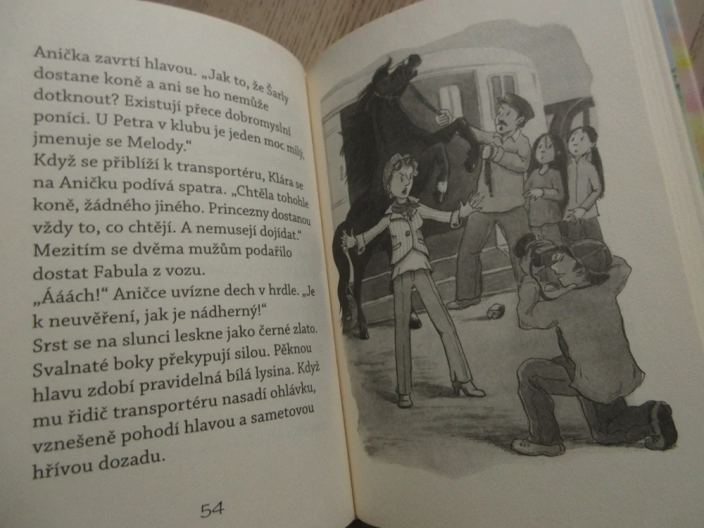 SRDÍČKO A PRINCEZNIN KŮŇ, USCH LUHNOVÁ, **an