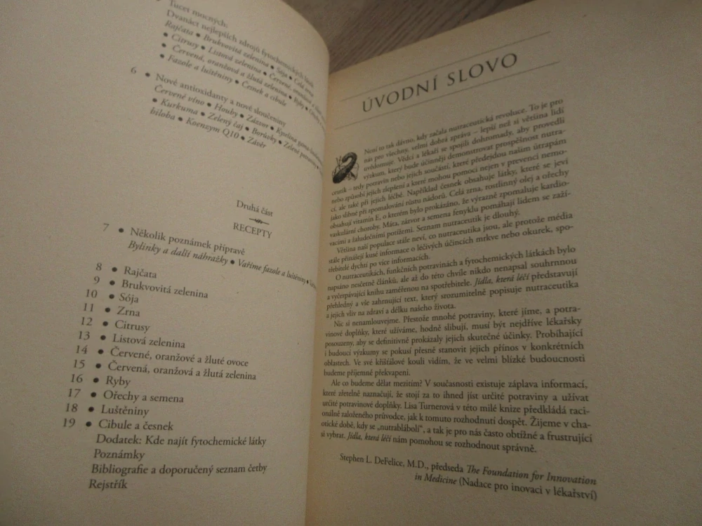JÍDLA, KTERÁ LÉČÍ, NUTRACEUTICKÝ PRŮVODCE ZDRAVOU VÝŽIVOU, LISA TURNEROVÁ, **an
