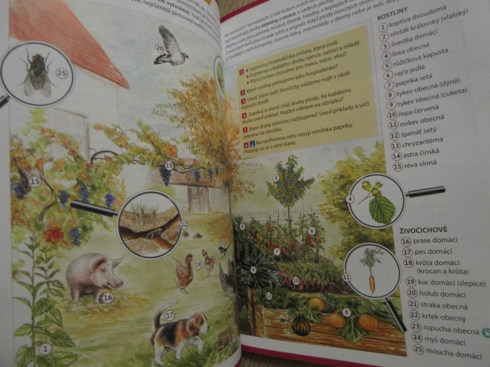 HRAVÁ PŘÍRODOVĚDA, ČLOVĚK A JEHO SVĚT, **an 