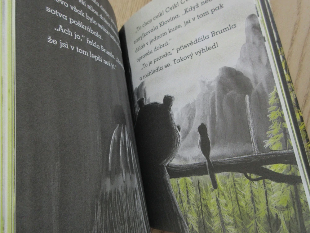 BRUMLA A REMCÍK, JULIAN GOUGH