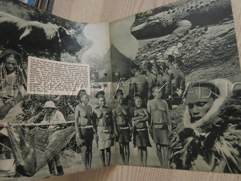 SAFARI, W. EGGERT, FILM NĚM. ŘÍŠE?, FILM KURIER VBŠ Č. 2935
