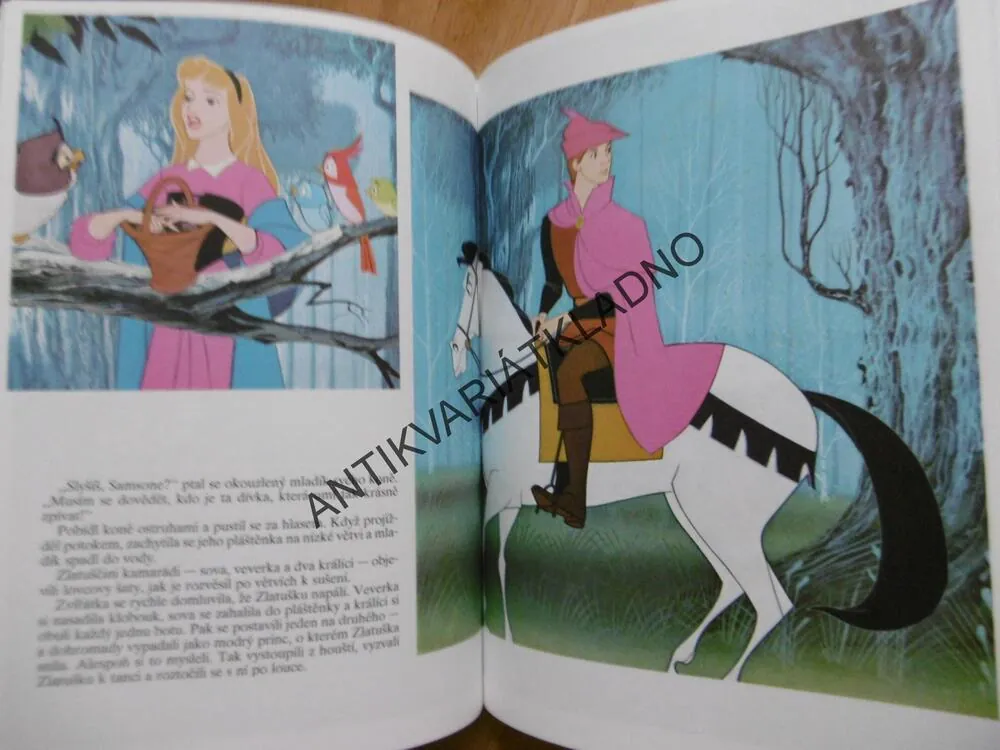 ŠÍPKOVÁ RŮŽENKA, ROBIN HOOD, 101 DALMATINŮ, WALT DISNEY, **an