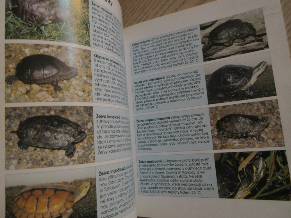 SLADKOVODNÍ ŽELVA, BYDLÍ S NÁMI, PRŮVODCE PRO MLADÉ CHOVATELE, **an
