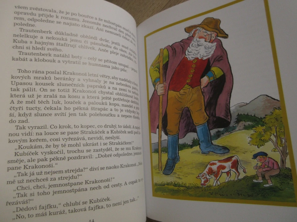 ANČE A KUBA MAJÍ KUBÍČKA, BOŽENA ŠIMKOVÁ, **an