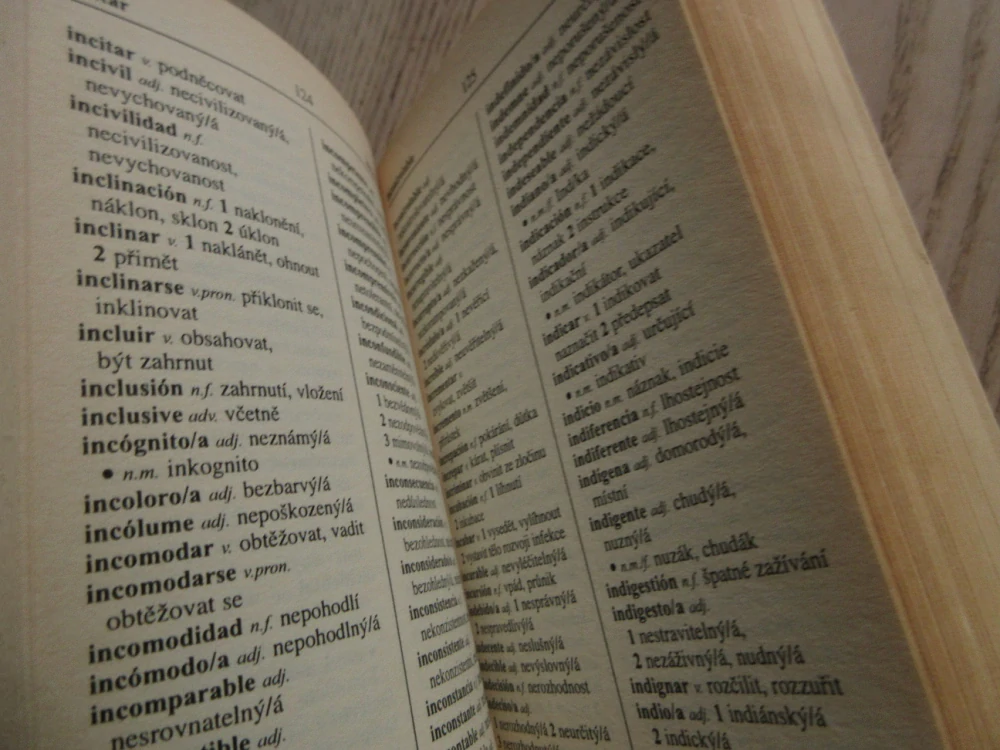ŠPANĚLSKO-ČESKÝ, ČESKO-ŠPANĚLSKÝ SLOVNÍK SE ZÁKLADY GRAMATIKY, **an
