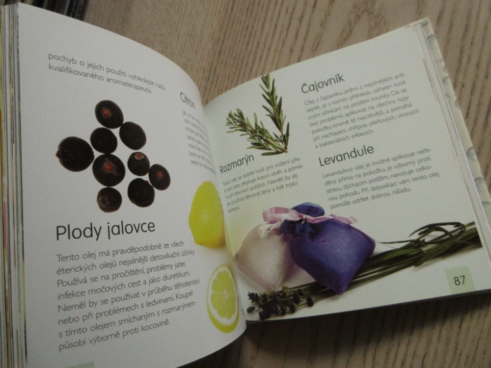 DETOXIKAČNÍ KÚRA, DOKONALÁ OČISTA ORGANISMU, RICHARD JOHNSON, **an