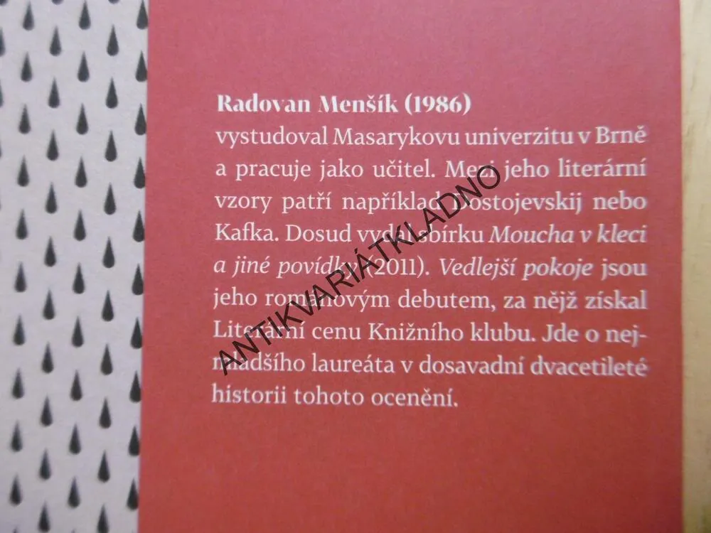 VEDLEJŠÍ POKOJE, RADOVAN MENŠÍK, **an